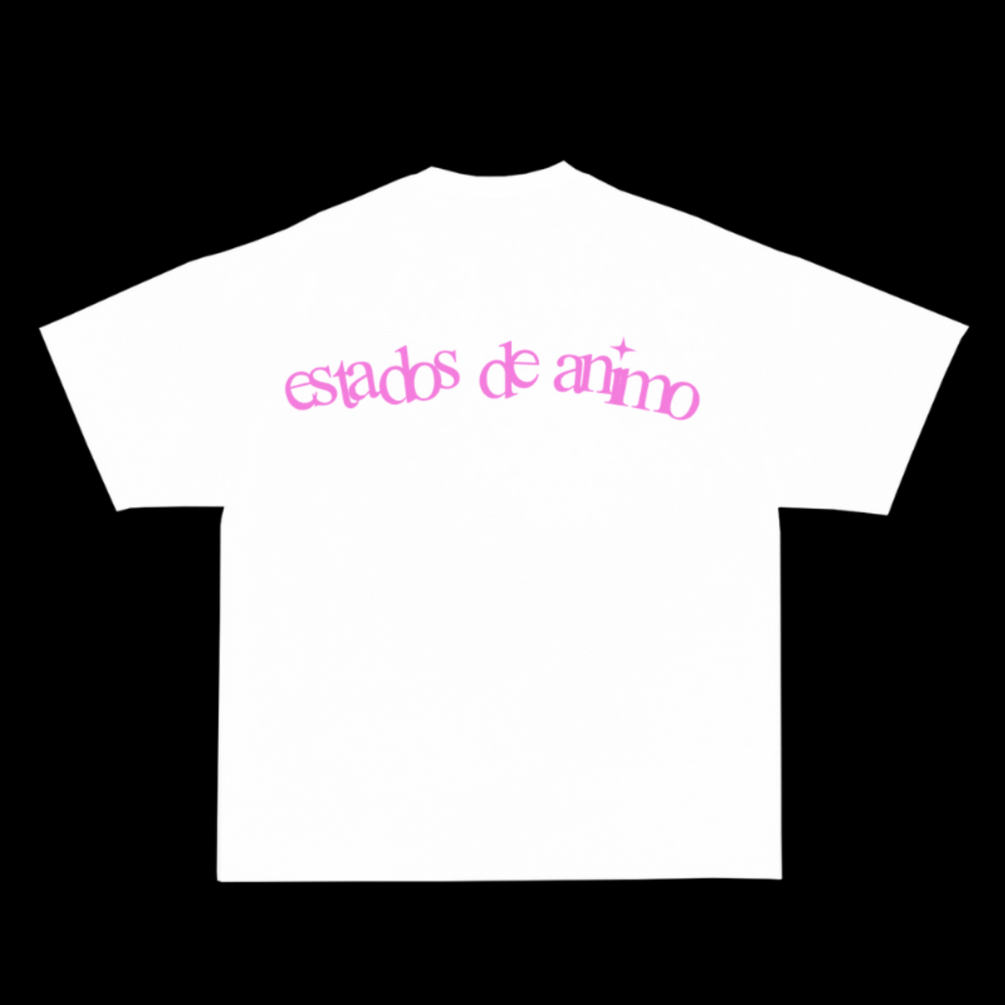 VIRGEN C0C41N3 T SHIRT