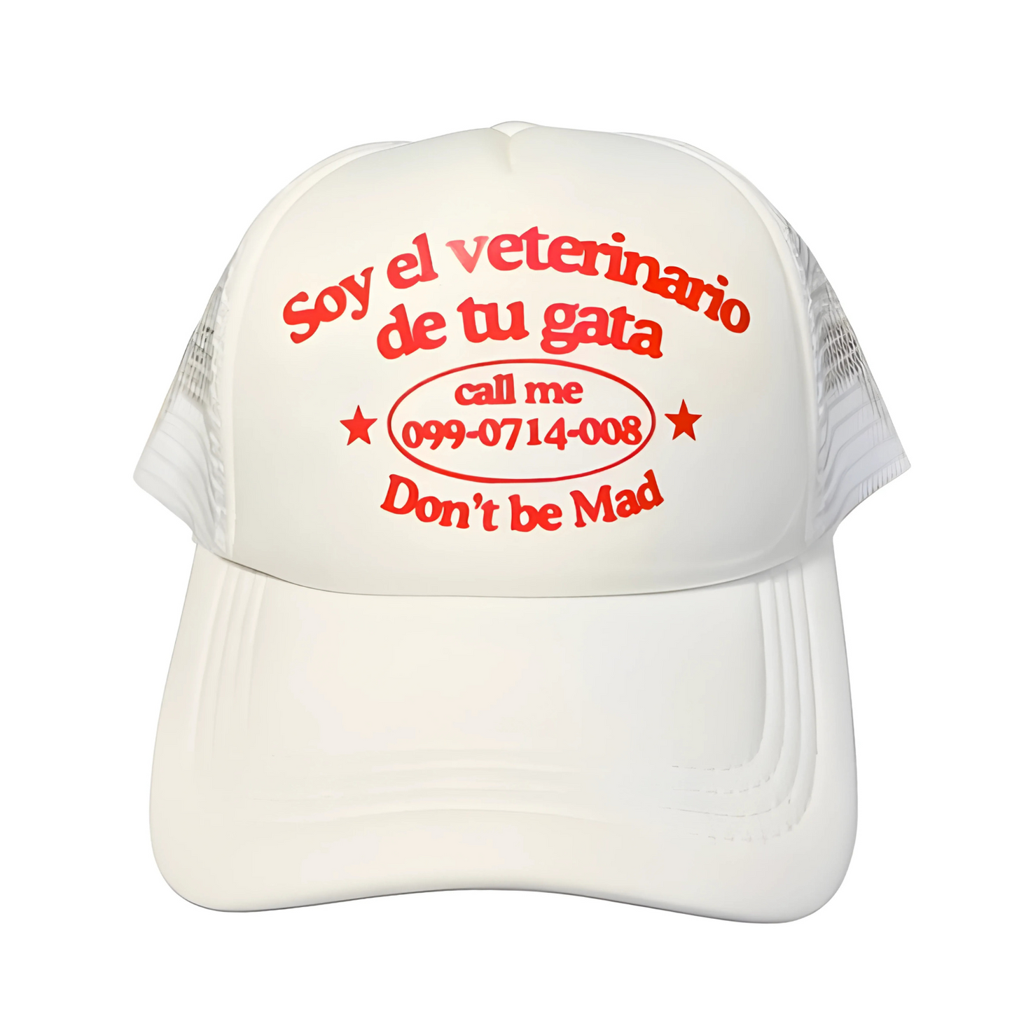 El veterinario de tu GATA